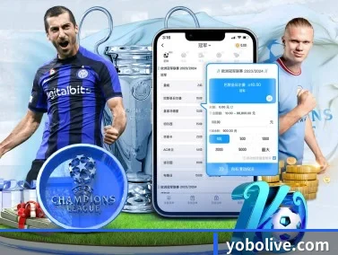 yobo体育平台 APP
